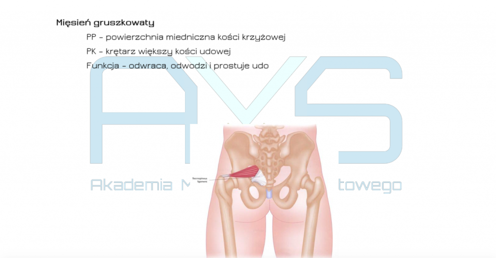 mięsień gruszkowaty